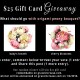 $25 Gift Card Giveaway – Help Me Decide Which Origami Bouquet to Bring to the Museum –