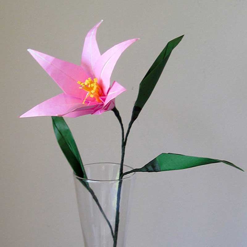 pink easter lily