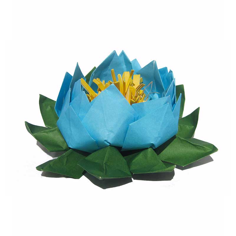 light blue lotus