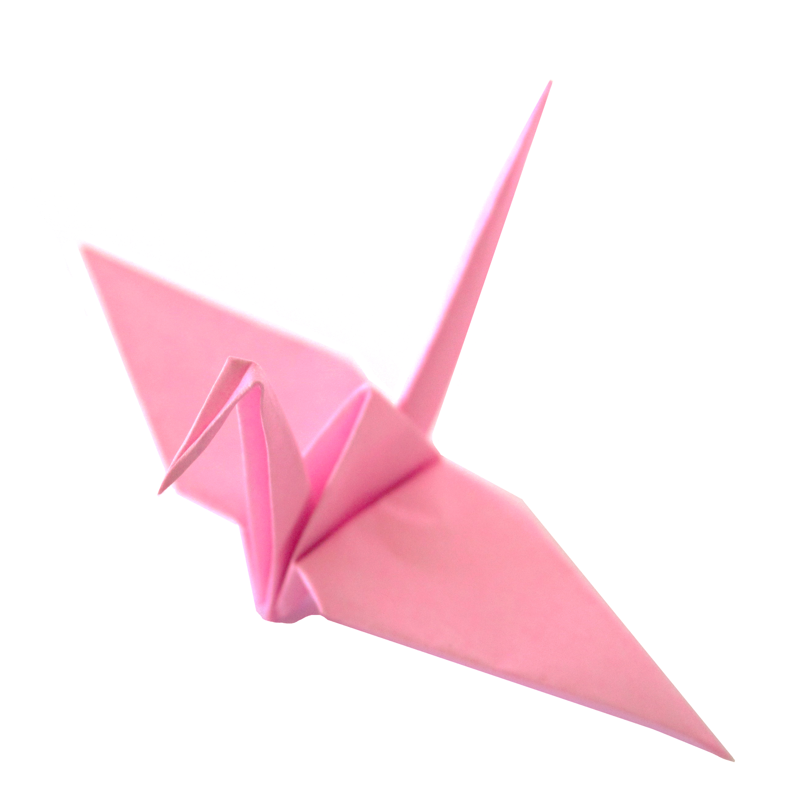 paper origami cranes