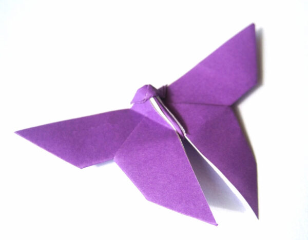 deep purple origami butterfly