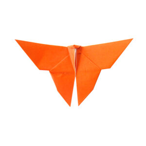 orange paper butterfly