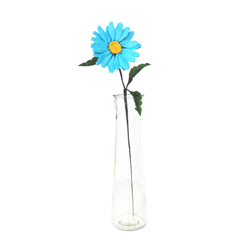 blue daisy