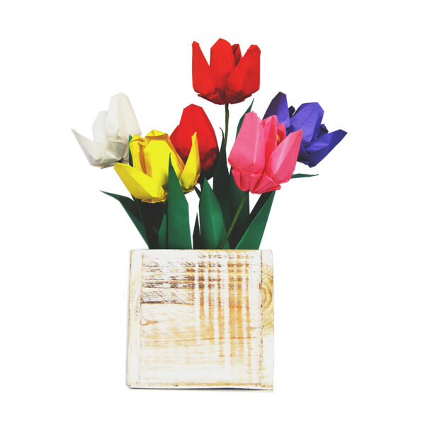 tulip in wooden vase