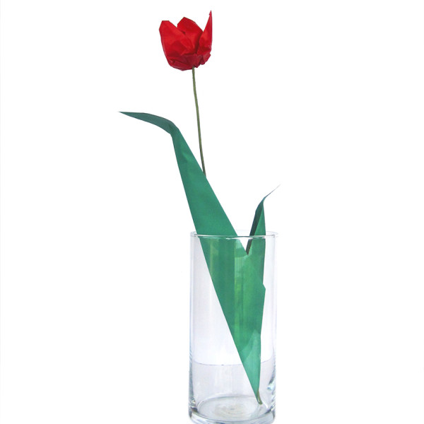 Premium Origami Tulip Gift Set with Wooden Vase